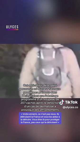 Agriculteur en détresse face à l'abattage des vaches