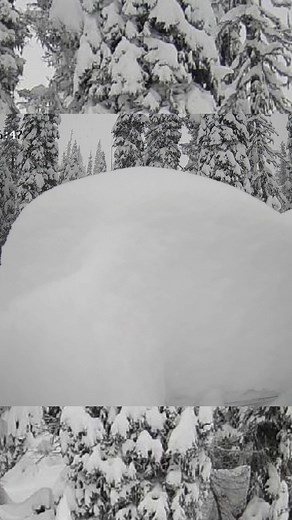 Discover Gnorm: The Powder Gnome in Revelstoke