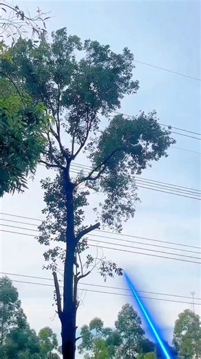 Laser-assisted logging is already proving that trees can be cut faster and more safely, turning a once futuristic idea into reality.