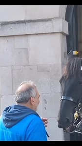 173K views · 2.1K reactions | Tourist Gets a Sharp Lesson as Royal Guard Horse Bites at Parade...!! #GuardiansOfTradition #MajesticMoments #HistoryInMotion #RoyalInspiration #CourageAndHonor #TimelessElegance #ParadeOfPride #HeritageAndHeart #InspiringLegacy #ChasingRoyalDreams | King's Guard Parade | Facebook