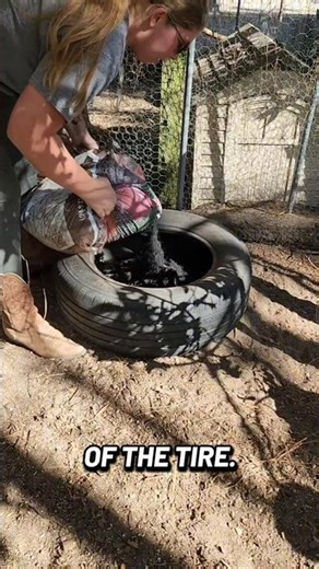 🐔🛁How to Make the Best DIY dust Bath for Your Chickens! #diyprojects #chickendustbath #chickens