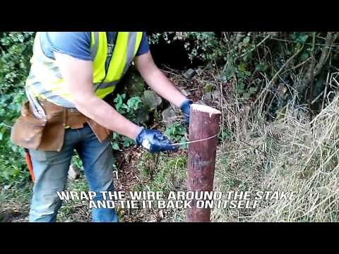 Farmer know-how: erect single-strand electric fencing