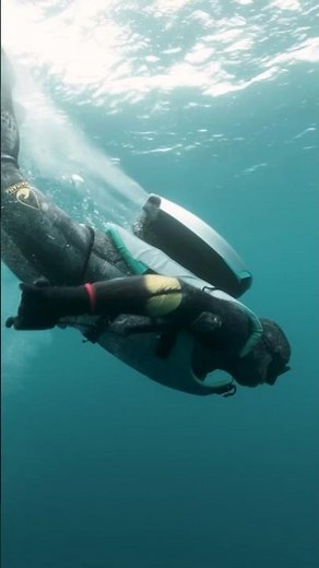 Alien Sharks: Ghosts of Japan Out on Wednesday 7/10