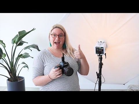 Alien Bee Basics + Set Up