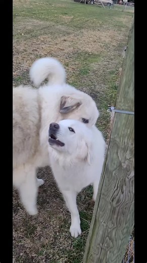 The Importance of Changing Chapters in Life