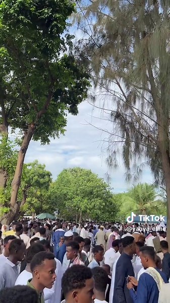 Yahya Elme on TikTok