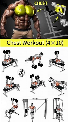 chest exercises | dumbbell chest exercises | chest workout | chest workout at home with dumbbells