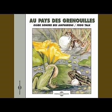 Rainette méridionale 4 (Mediterranean Tree Frog 4)