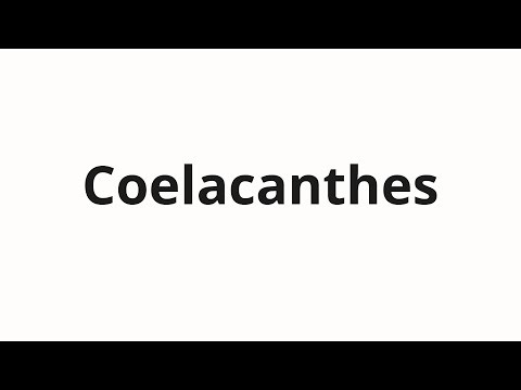 How to pronounce Coelacanthes