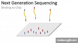 Next Generation Sequencing (Illumina) - An Introduction on Make a GIF
