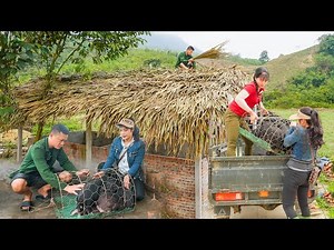 Buy a herd of piglets from Phuong Free Bushcraft to raise, Completed building of pig barn