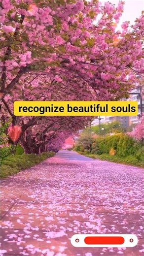 "Kindness is the truest form of beauty. 🌸✨#gratitude #godsplan #shorts #shortsfeed