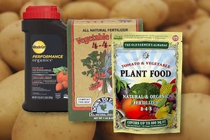 9 Best Fertilizer For Potatoes   How To Use Them