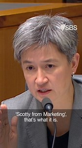 79K views · 1.8K reactions | The federal government is denying suggestions that a controversial bushfire response video, posted to Scott Morrison’s social media pages, was in any way an advertisement. | SBS News | Facebook