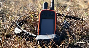 Garmin Alpha 100: The GPS Training Collar That Turned My Pup Into a Hunting Dog