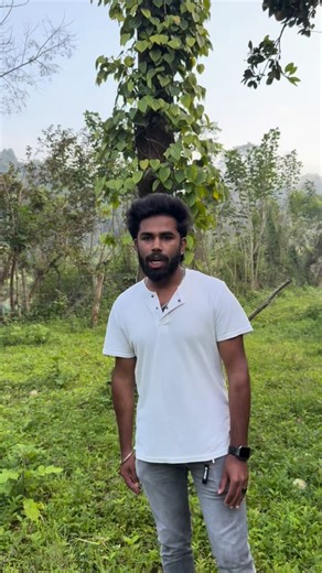 Kodai Land Promoters on Instagram: "🌄 Land for Sale in Kodaikanal – Pethuparai Area A beautiful 22 cents of land is available for sale at just ₹3.5 lakhs per cent. ✨ Property Highlights: 🌳 Avocado trees, pepper trees & bubble-mass fruit trees 🚗 Proper road access 💧 Reliable water supply with well water 📜 Clear settlement documents 🏡 Ideal for cottages, homestays & residential projects 💦 Special Feature: A stunning and serene waterfall is located very close to the property! If you plan to