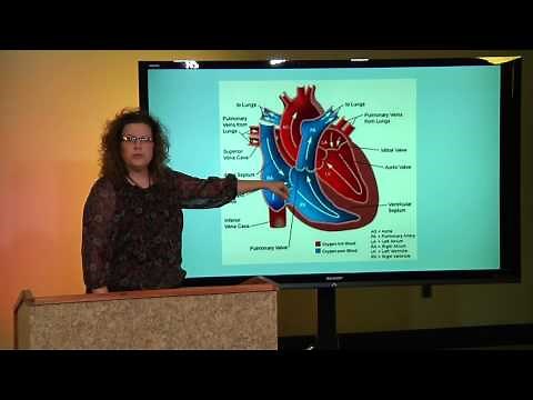 Critical Care Nursing: Basics of EKGs Module 1