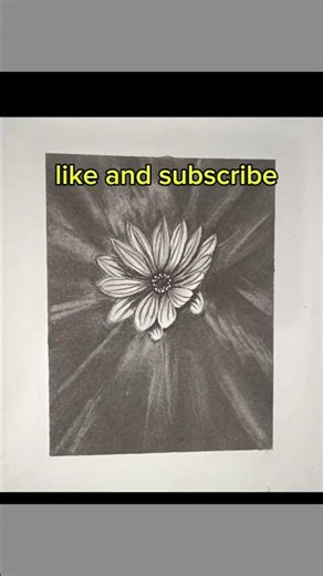 How to draw a flower with a pencil. flower drawing with a pencil.... #pencil #drawn #pencildraw