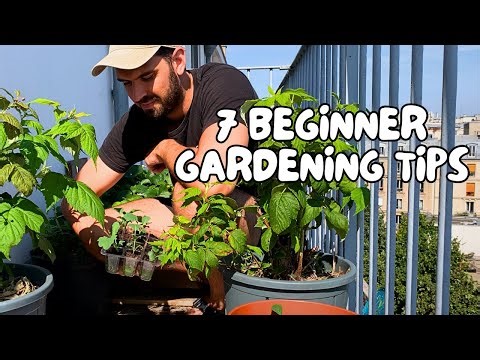 7 Beginner Gardening Tips That Actually Work (Start Small & Avoid My Mistakes!)