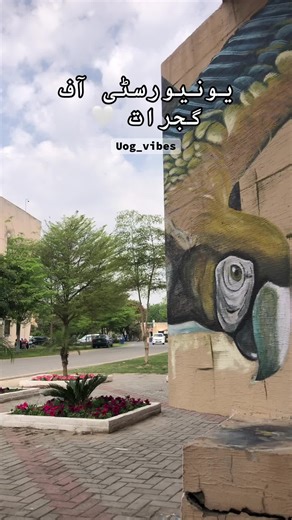 #یونیورسٹی_آف_گجرات #univertyofgujrat💜 #uog_main_campus #uog