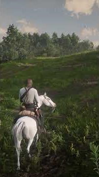 How To Get Perfect Animals Pelt | RDR2| ‪@Shorts‬ #arthurmorgan #shorts #rdr2
