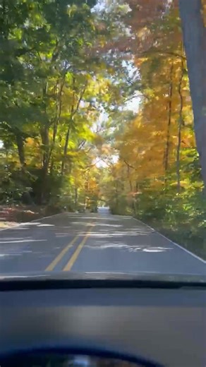 🍁🍂Perhaps not as spectacular as last year but, this is always one of my favorite streets every Autumn🧡 Make today a great day at A2Z Cafe, 8a-2p Tue-Sun! | A2Z Cafe