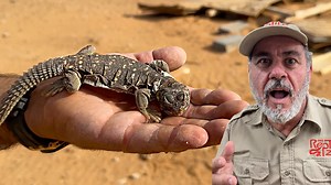 4.8K views · 165 reactions | Join me on an epic adventure through the...