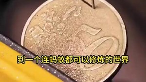 creative_video_1d3b6c0ebf87c28e7e02d2cef686a3b8_origin