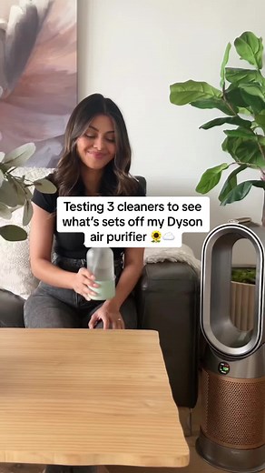 Testing Cleaning Products on Dyson Air Purifier