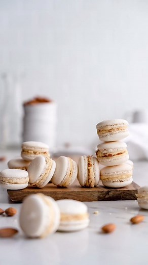 Delicious Macarons Photography Collection