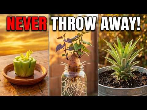 25 Kitchen Scraps You Should NEVER Throw Away (They Regrow Into FREE Food!)