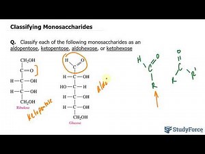 Classifying Monosaccharides