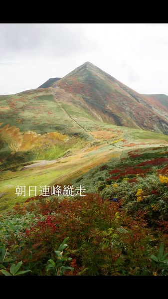 #大朝日岳 #朝日連峰 #紅葉 #日本百名山 #山形