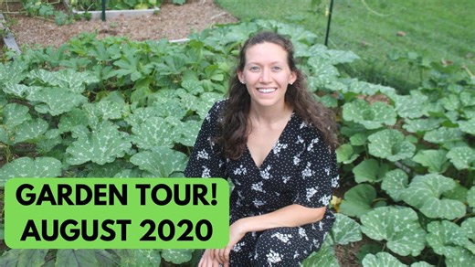 August 2020 garden tour: tomatoes, peppers, potatoes, squash