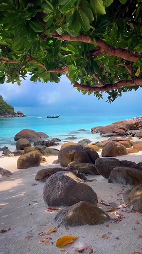 52K views · 2.5K reactions | Thailand's Paradisiacal landscapes. #thailand #landscape #beach #naturephotography #naturebeauty #Nature Nature at its Best | Nature at its Best | Facebook