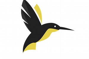 BirdBot - Computer Vision That Enables Citizen Science