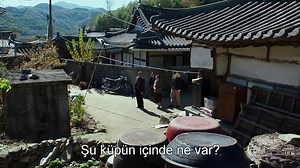 The.Wailing.2016.BluRay.1080p.ALT