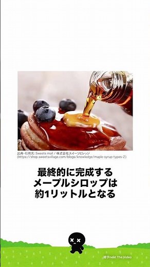 [雑学]はちみつ！？メープルシロップの正体 #雑学nextthevideo #プチ知識 #雑学