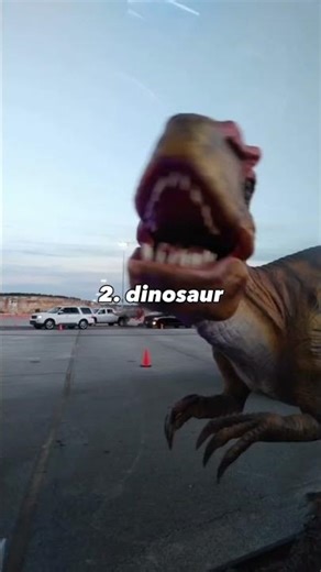 I have never seen #trending #short #lifestyle #funny