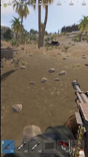 Understanding the Allure of Rust: A Gamer's Obsession