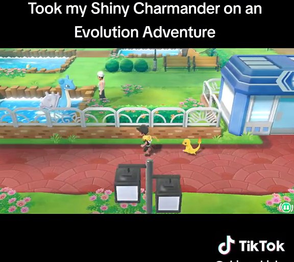 My shiny Charmander's evolution into Charizard also it's Mega forms, Gigantamax form and Terastalization #nintendo #nintendoswitch #pokemon #pokemondiamond #pokemonbrilliantdiamond #shinypokemon #pokemonsword #pokemonshield #pokemonpearl #pokemonshiningpearl #pokemonlegendsarceus #pokemongo #pokemonscarletandviolet #pokemonscarlet #pokemonviolet