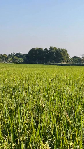 10_ball_40_run #Cricket❤️ 📷 fahim Talukder | Râkïb Ähâmmëd Rêjøñ