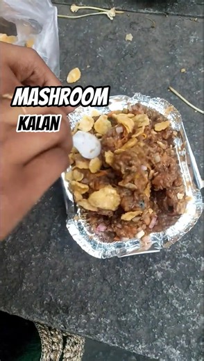 Eating First Time MUSHROOM KALAN as a Non-Tamil | Tamil Street Food #foodie #indianfood