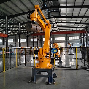 [Hot Item] Large-Load Palletizing Robots for Stacking and Handling in Feed Factories