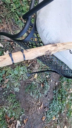 HOME MADE FISHING ROD