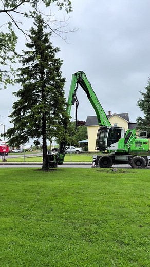 Top Tree Care Services in Chautauqua County, NY
