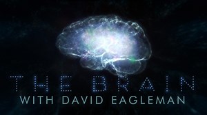The Brain with David Eagleman - Twin Cities PBS