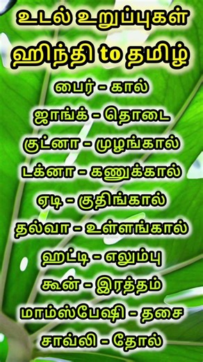 Body Parts Names🧘🏼தெரிந்து கொள்ளலாம் || hindi learning through tamil || #language #tamil #learnhindi