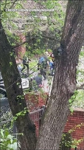 Fight breaks out after Erika Kirk, Turning Point USA press conference at Governor's Mansion