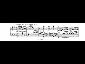 Beethoven-Liszt - Symphony 4 (IV. Allegro ma non troppo) - Cyprien Katsaris Piano